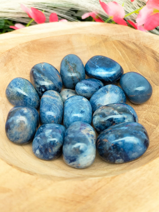 Pierre roulée Sodalite 🌷 2,5 / 4cm