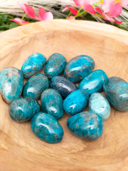 Pierre roulée Apatite bleue 🌷 2,5 / 4cm