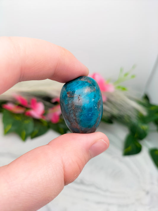 Pierre roulée Apatite bleue 🌷 2,5 / 4cm