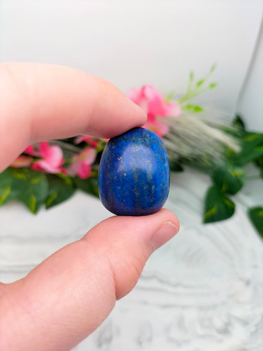 Pierre roulée Lapis lazuli 🌷 2,5 / 4cm