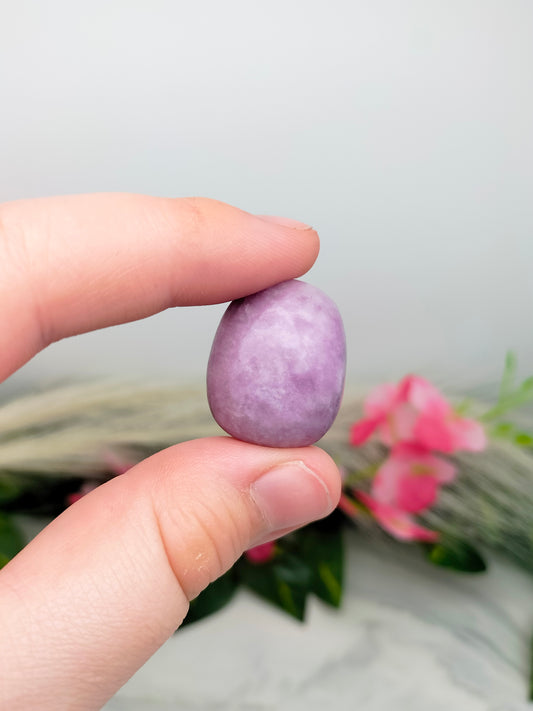Pierre roulée Lépidolite 🌷 2,5 / 4cm
