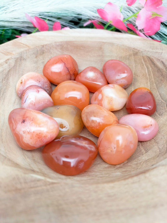 Pierre roulée Cornaline 🌷 2,5 / 4cm
