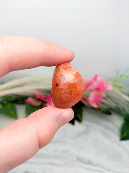 Pierre roulée Cornaline 🌷 2,5 / 4cm