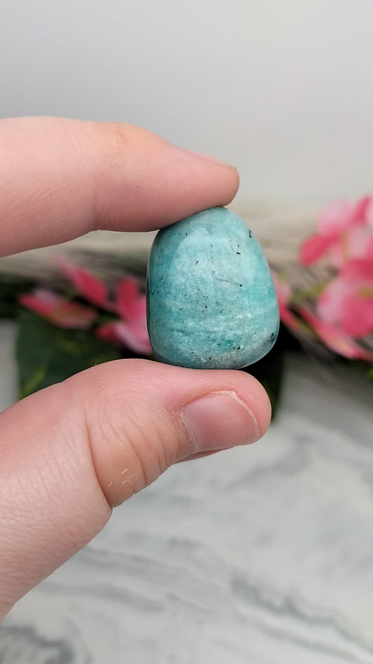 Pierre roulée Amazonite 🌷 3 / 4cm