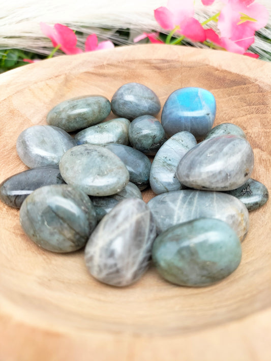 Pierre roulée Labradorite 🌷 3 / 4cm